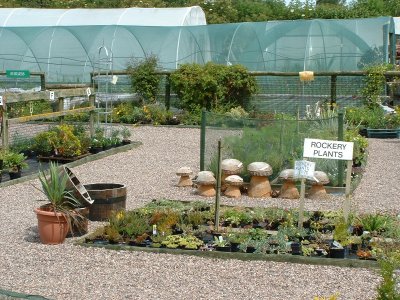 Barncroft Nurseries and Garden Designers